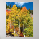 Search for fall colours posters Nature