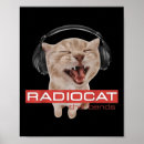 Search for cat meme posters Flag