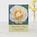 Search for roses mothers day cards Floral