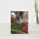Search for love your cat cards Funny