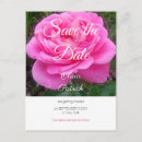 Search for romantic postcards Flower