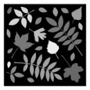 Search for black and white leaves posters Botanical