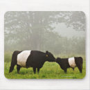 Search for belted mousepads Outdoors