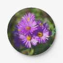 Search for aster plates Flower