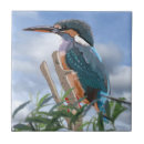 Search for kingfisher tiles Orange