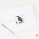 Search for european stickers Wildlife