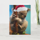 Search for australia koala christmas cards Down under