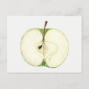 Search for kitchen paintings postcards Vintage