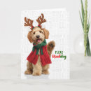 Search for goldendoodle christmas cards Dogs