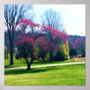 Search for crabapples posters Red