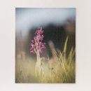 Search for orchid puzzles Blossom