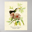 Search for vintage flower fairies art Nature