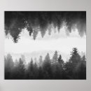 Search for misty trees posters Foggy