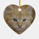 Search for gorgeous christmas tree decorations Cute