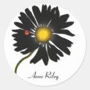 Search for daisies and ladybugs stickers Black