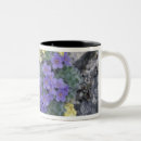 Search for refuge mugs Usa