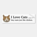 Search for “taste bumper stickers Cat
