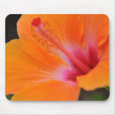 Search for hibiscus mousepads Tropical