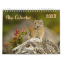 Search for bunny rabbit calendars Animal