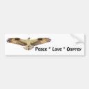 Search for prey bumper stickers Hawk