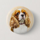 Search for cavalier badges Dog