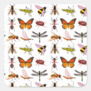 Search for bug lover stickers Cute