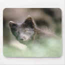 Search for wolf head mousepads Animal