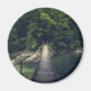Search for bridge round magnets Forest
