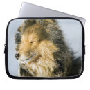 Search for shetland sheepdog electronics Canine