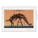 Search for natural history museum postcards Colorado