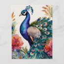 Search for blue peacock bird postcards Watercolor
