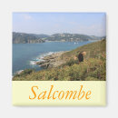 Search for devon magnets England