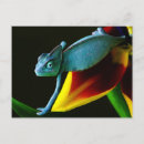 Search for chameleon postcards Animal