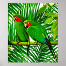Search for lovebird posters Wildlife