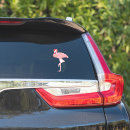 Search for big bird bumper stickers Flamingo