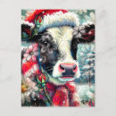 Search for cow postcards Floral