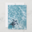 Search for turtle postcards Baby