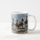 Search for duckling mugs Mallard