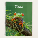 Search for tree frog planners Rainforest