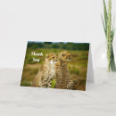 Search for africa thank you cards Big cat