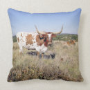 Search for longhorns cushions Texas
