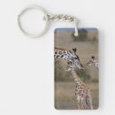 Search for environment rectangular key rings Landscape
