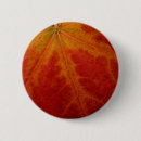 Search for red maple badges Leaf