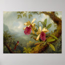 Search for martin johnson heade posters Hummingbird