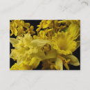 Search for daffodil business cards Narcissus