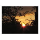 Search for beautiful view posters Photography