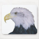 Search for bald eagle mousepads United states
