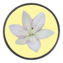 Search for golden hockey pucks Modern