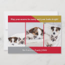 Search for humorous christmas cards Dog