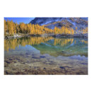 Search for enchanted forest posters Fall